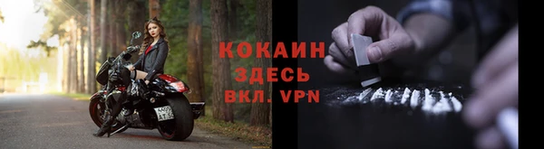 спайс Ладушкин