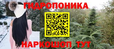 a pvp Гусь-Хрустальный