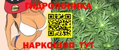 a pvp Гусь-Хрустальный