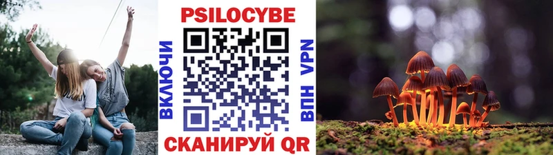 Галлюциногенные грибы ЛСД  omg онион  Михайловка  наркотики 