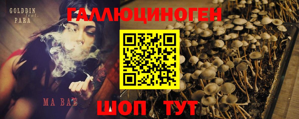 Псилоцибиновые грибы ЛСД  Галлюциногенные грибы MAGIC MUSHROOMS  Вход с VPN  Михайловка 