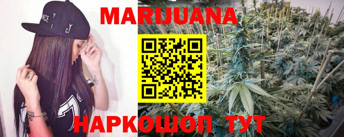 Конопля сатива Михайловка